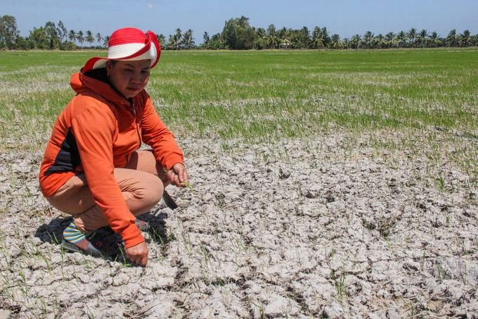 American expert: 'China can retain 50% of Mekong water in the dry season' 5