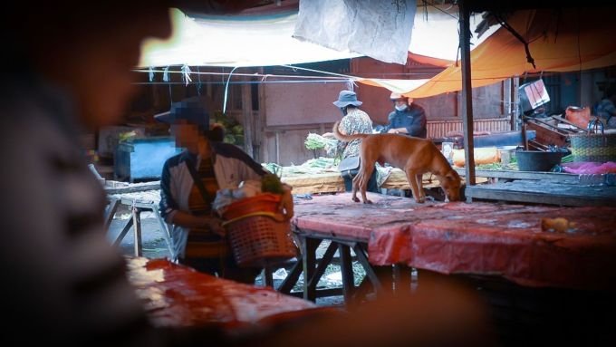 Ban dog and cat meat in famous Indonesian markets 2
