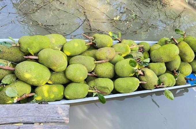 Prices of Thai jackfruit and watermelon are below 5,000 VND per kg 1