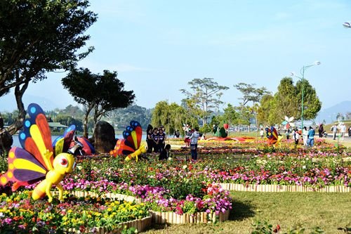 Things to know about Dalat Flower Festival 2015 7
